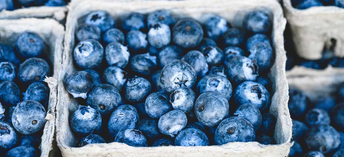 New food website